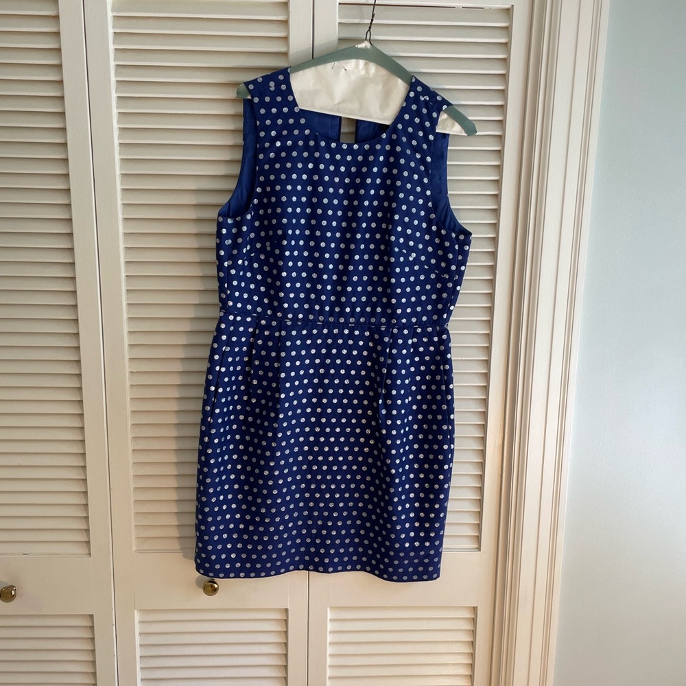Polka Dot JCrew Dress